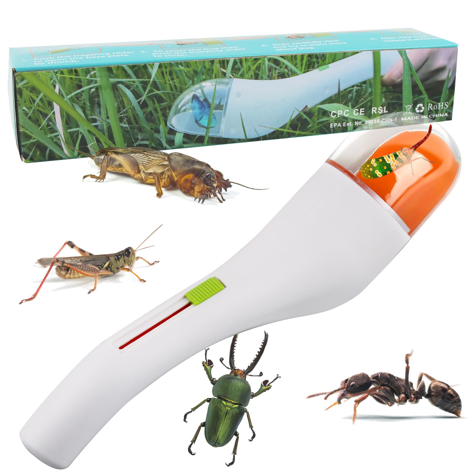 PIEGE INSECTE – Image 7