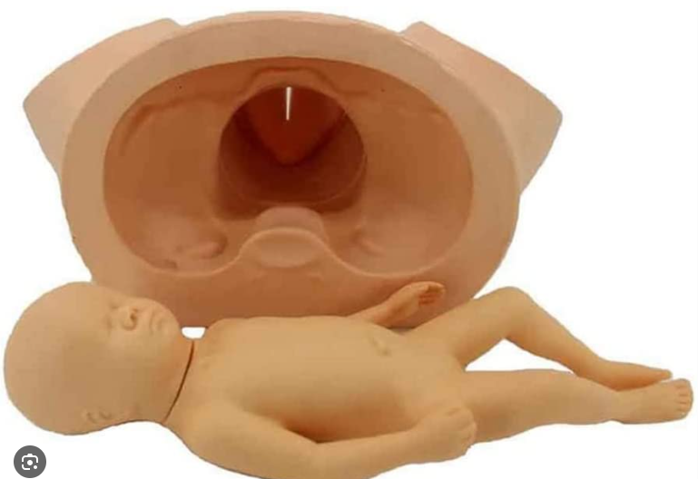 MANNEQUIN ACCOUCHEMENT MODELE BEBE BASSIN – Image 3