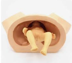 MANNEQUIN ACCOUCHEMENT MODELE BEBE BASSIN – Image 4