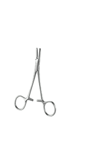 PORTE AIGUILLES DE DOYEN – Image 2