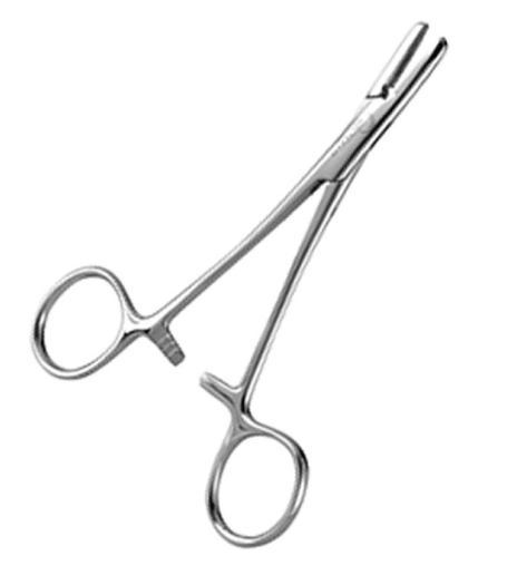 PORTE AIGUILLES DE DOYEN – Image 3