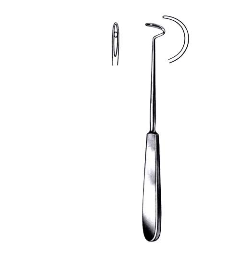 AIGUILLE DESCHAMPS – Image 2