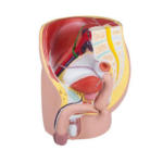 Capture d’écran 2025-04-16 141550