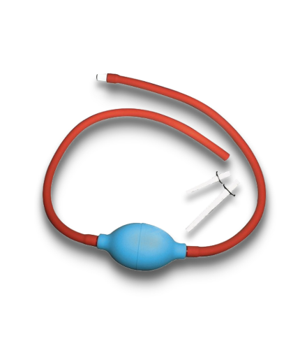 POIRE ORL – Image 2