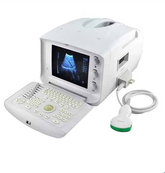 ECHOGRAPHE PORTATIF ULTRASOUND – Image 6