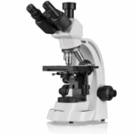 Capture d’écran 2025-04-23 104639