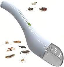 PIEGE INSECTE – Image 6