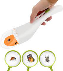 PIEGE INSECTE – Image 5