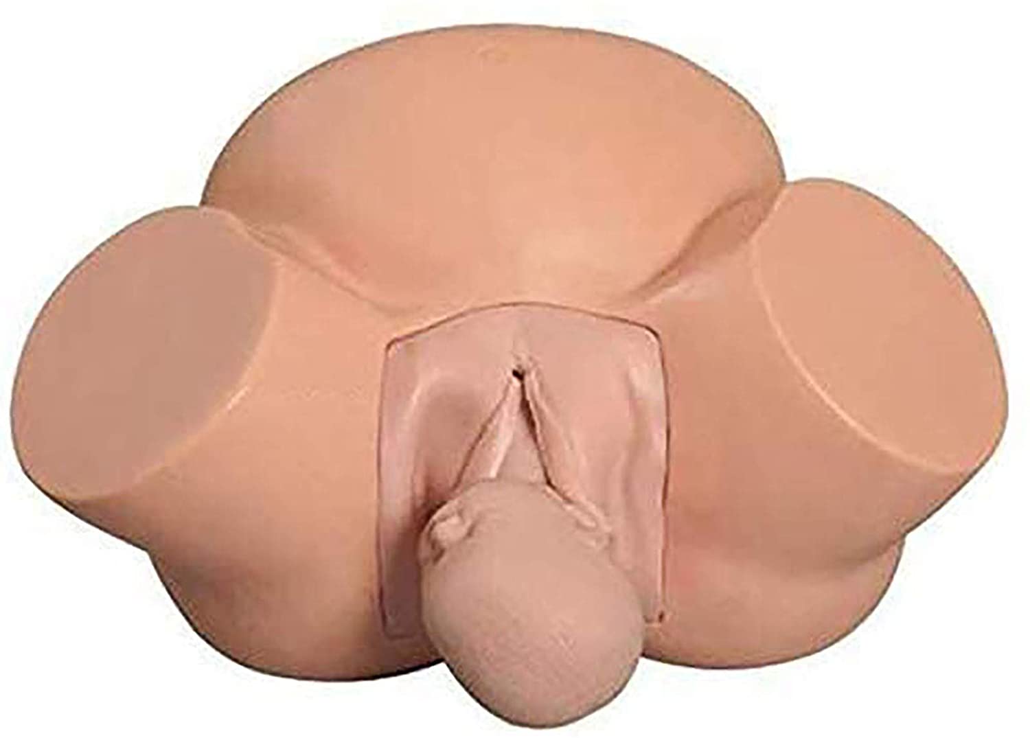 MANNEQUIN ACCOUCHEMENT MODELE BEBE BASSIN