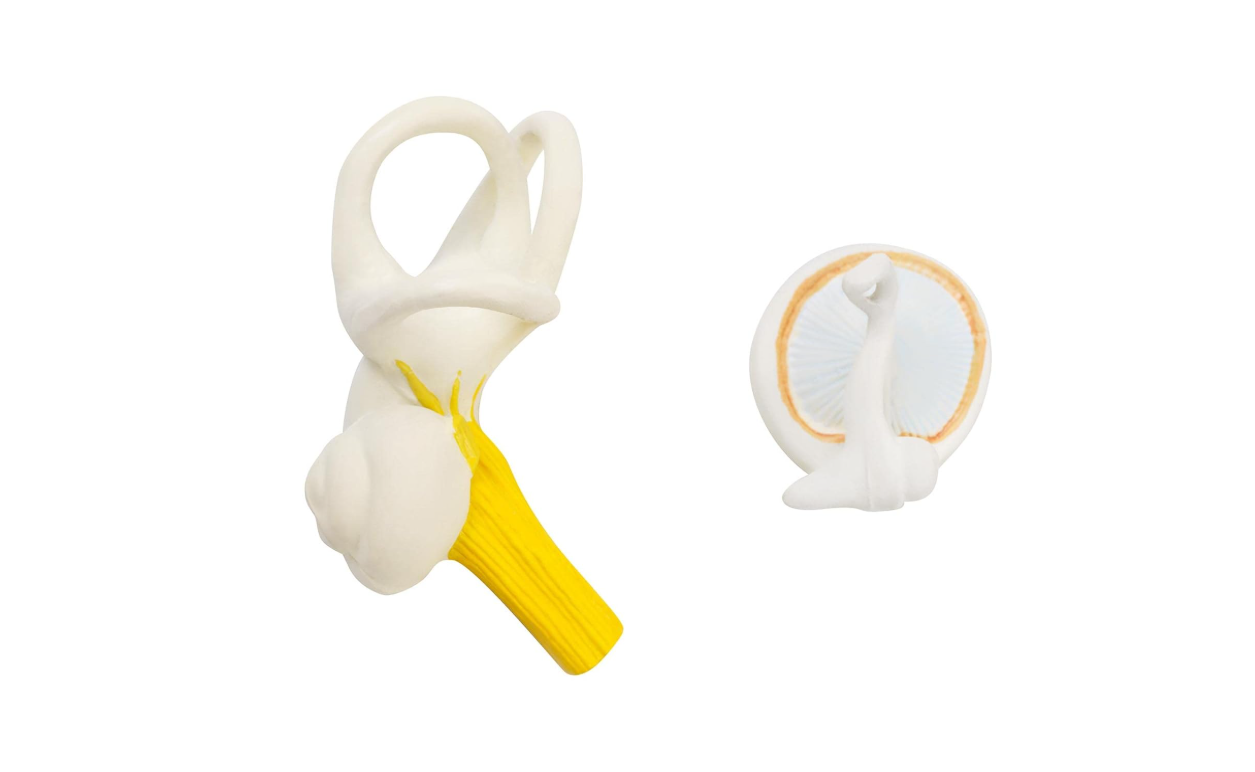 MANNEQUIN OREILLE HUMAINE – Image 3