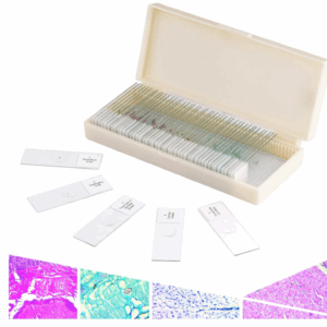 LAMES DE MICROSCOPE PREPAREES 50PCS