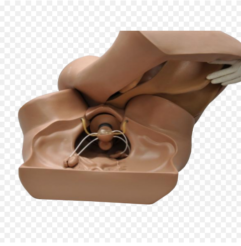 MANNEQUIN ZOE – Image 3