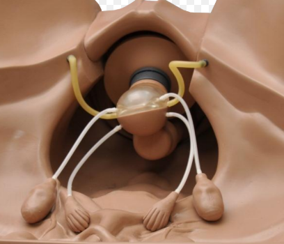 MANNEQUIN ZOE – Image 4