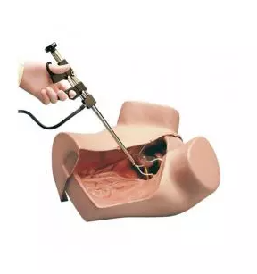 MANNEQUIN ZOE – Image 5