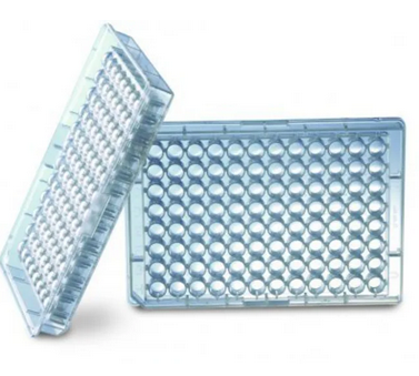 PLAQUE ELISA – Image 2