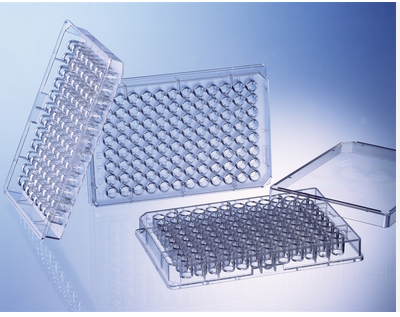 PLAQUE ELISA – Image 4