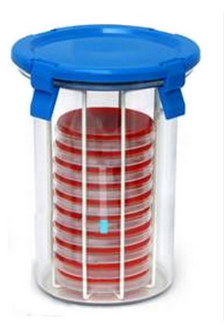 JARRE POUR ANAEROBIOSE – Image 3