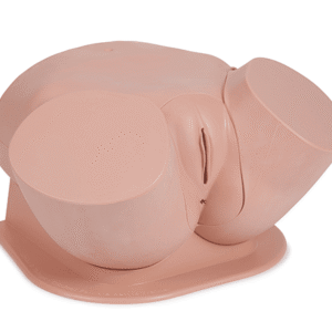 SIMULATEUR D'EXAMEN PELVIEN FEMININ AVANCE