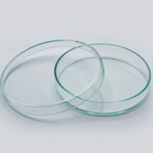 BOITE DE PETRI EN VERRE 90MM 60MM