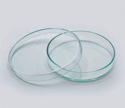 BOITE DE PETRI EN VERRE 90MM 60MM