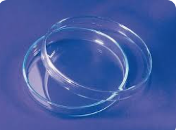 BOITE DE PETRI EN VERRE 90MM 60MM – Image 5