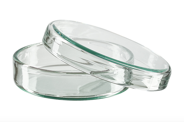 BOITE DE PETRI EN VERRE 90MM 60MM – Image 3