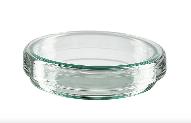 BOITE DE PETRI EN VERRE 90MM 60MM – Image 2
