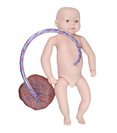 MANNEQUIN BEBE AVEC OU SANS CORDON OMBILICALE